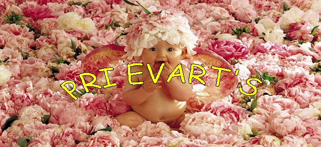 PRI EVART´S - ARTESANATO EM E.V.A