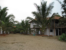 Agonda