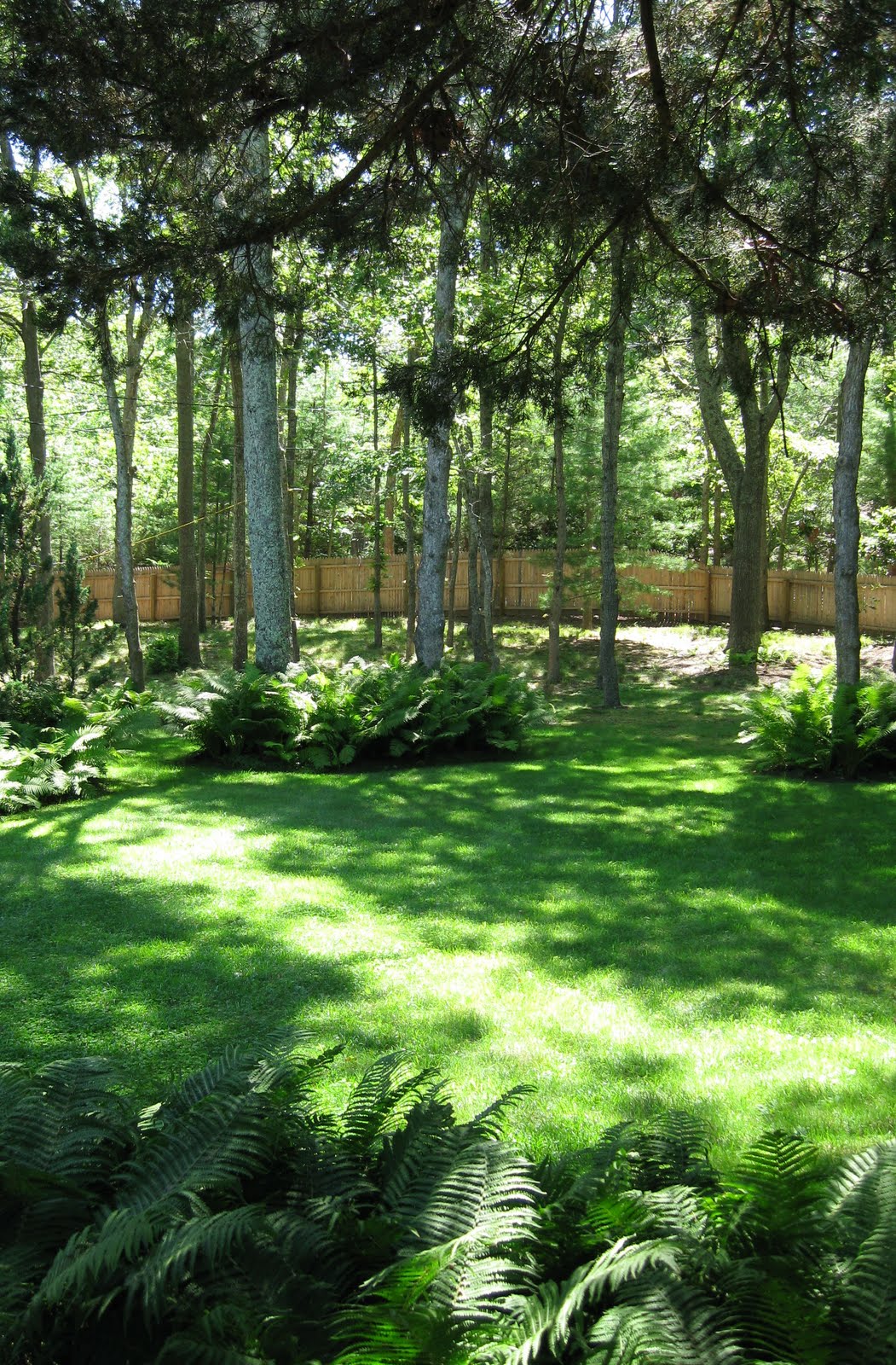 hamptontoes: Children's garden