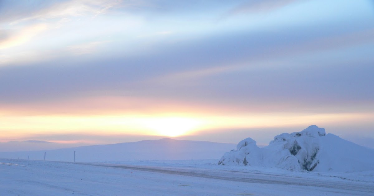 All those A-M-A-Z-I-N-G Habitats: Discover the Tundra Habitat