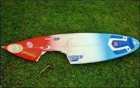 Rip Curl, which aided her rip curl wallpapers. Rip Curl, which aided her