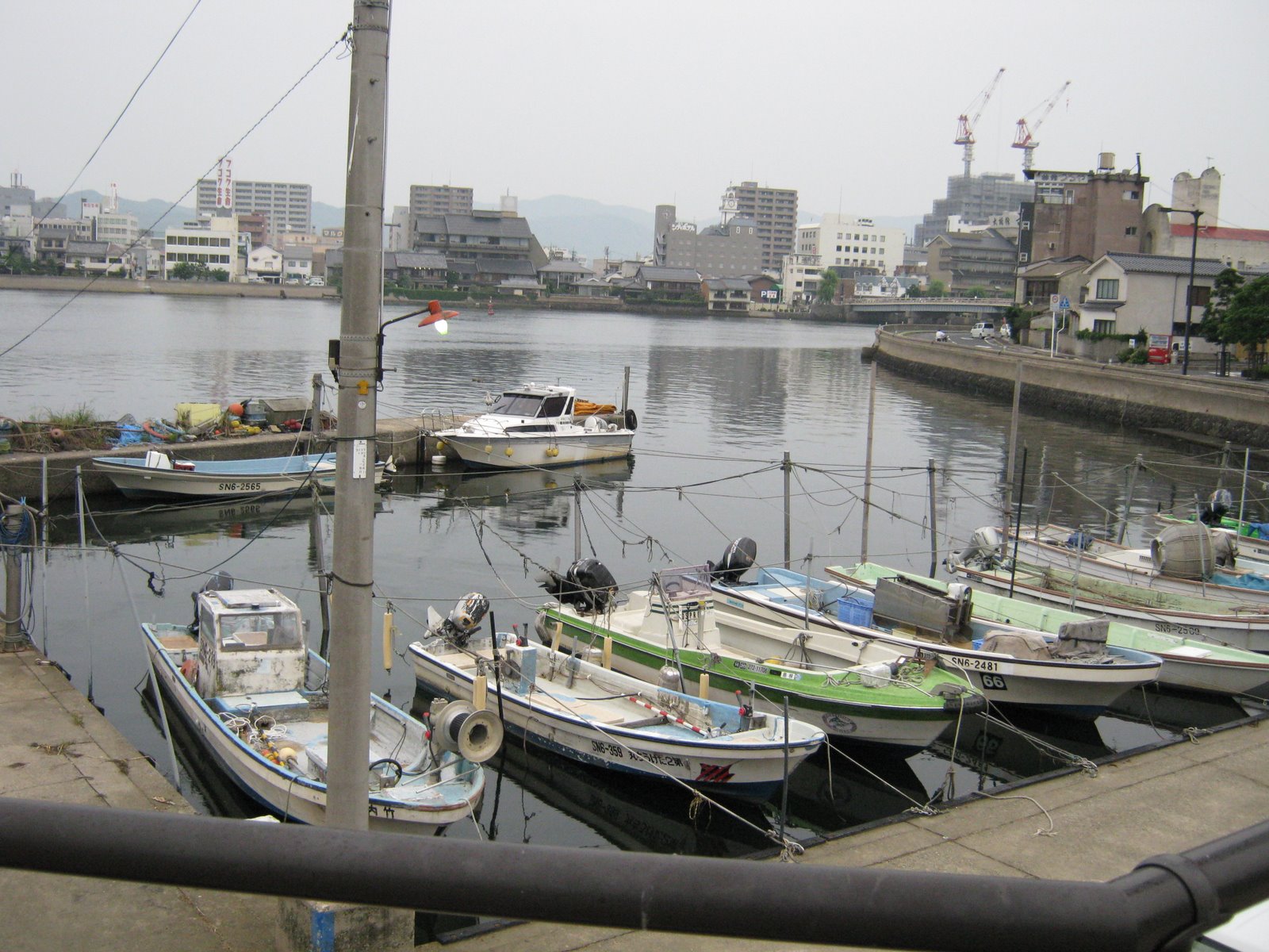 [IMG_0050.JPG]