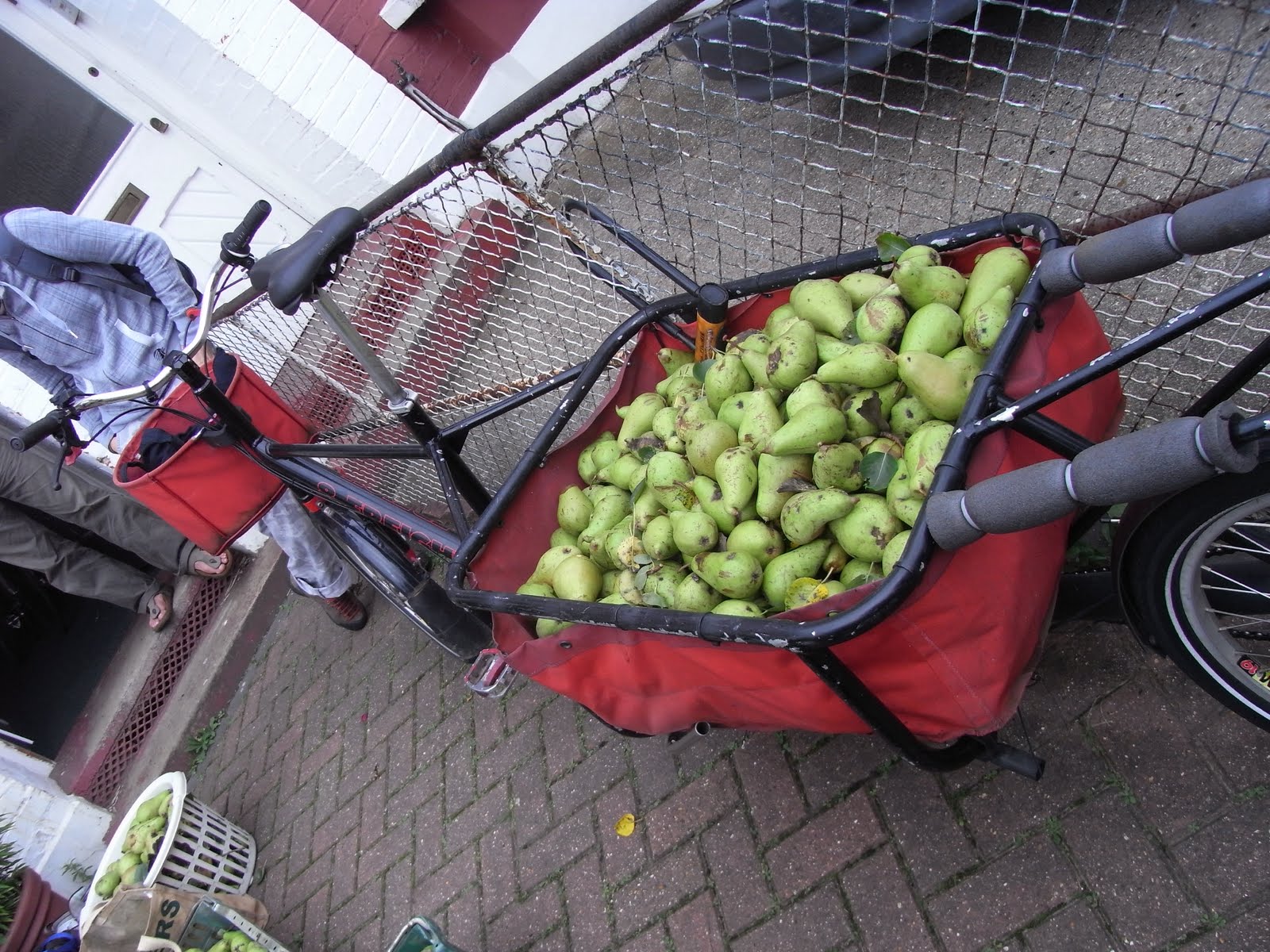 Environmental Sustainability and The Castle Castle Apple and Pear