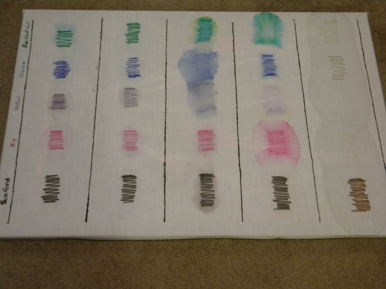 Exploring and Discovering Science Experiment 4 How Permanent Are