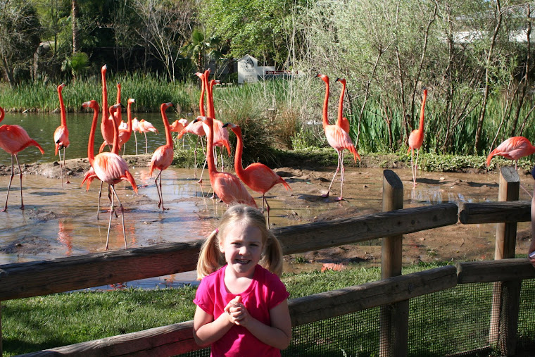 Zoo 2009