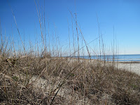 Sea Oats Hilton Head