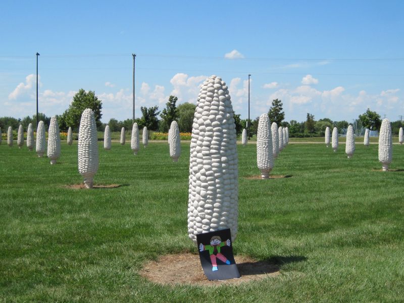 Corn on the Cob and Flat Stanley, Dublin Ohio
