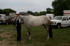 Ashlee & Clem going into Halter class!