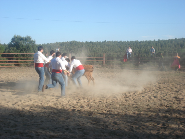 [DSC07968.JPG]