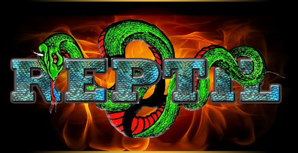 Reptil Rock Bolivia