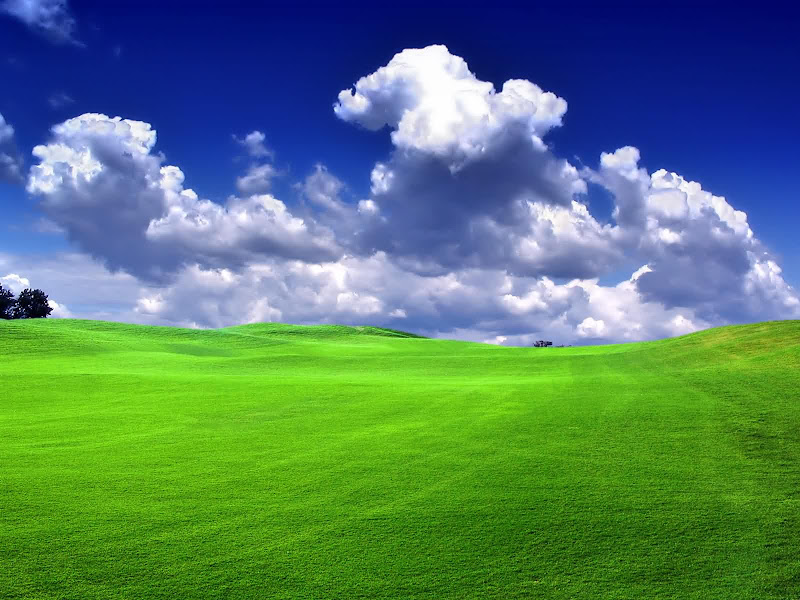 Green grass Blue sky cloud sketches of nature wallpapers title=