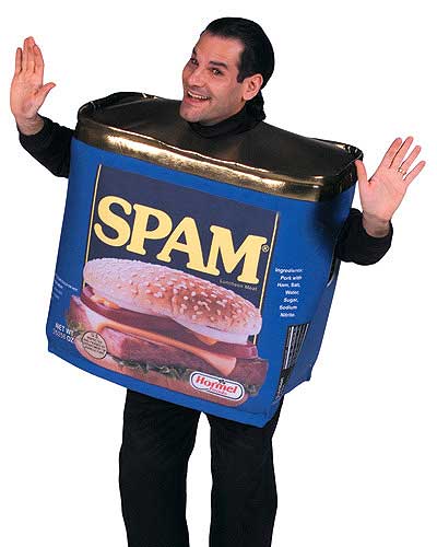 [spam%20boy.jpg]