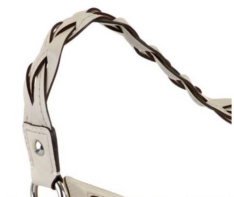 [10990strap.jpg]