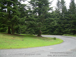 COL DES SPANDELLES.