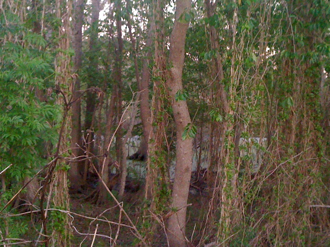 [1_MB.JPG]