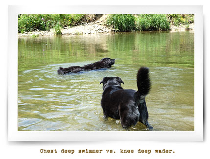 [water.jpg]