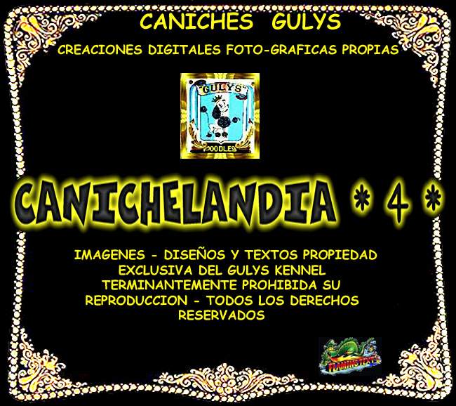 CANICHES GULYS - CANICHELANDIA - 4 -