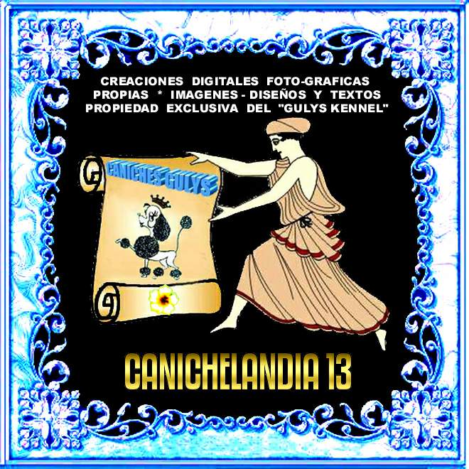 CANICHES GULYS - CANICHELANDIA - 13 -