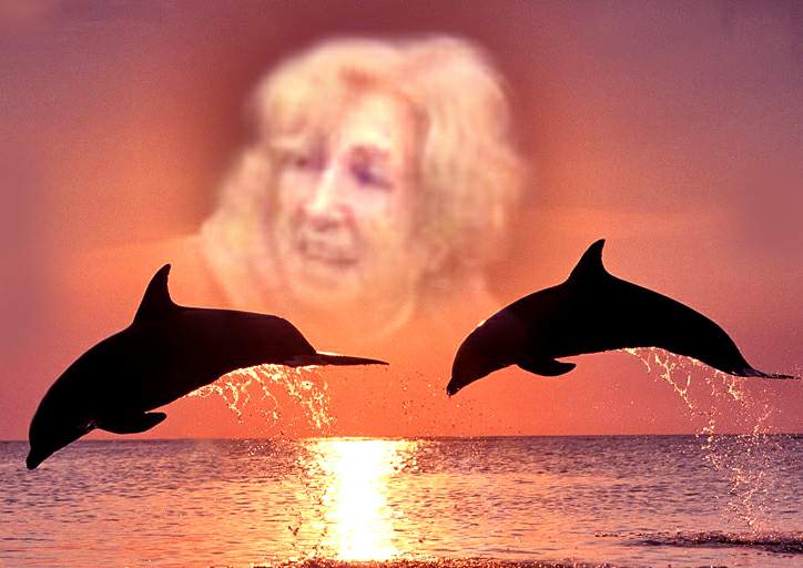 NORMA Y LOS DELFINES