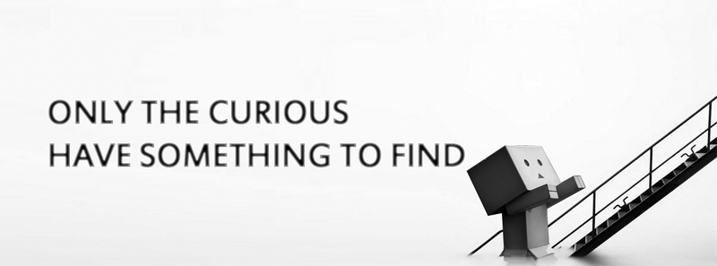 Only the curious have something to find
