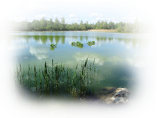 Paisajes