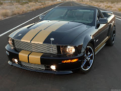 mustang