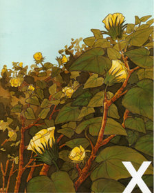 [Nova+imagem+(2).png]