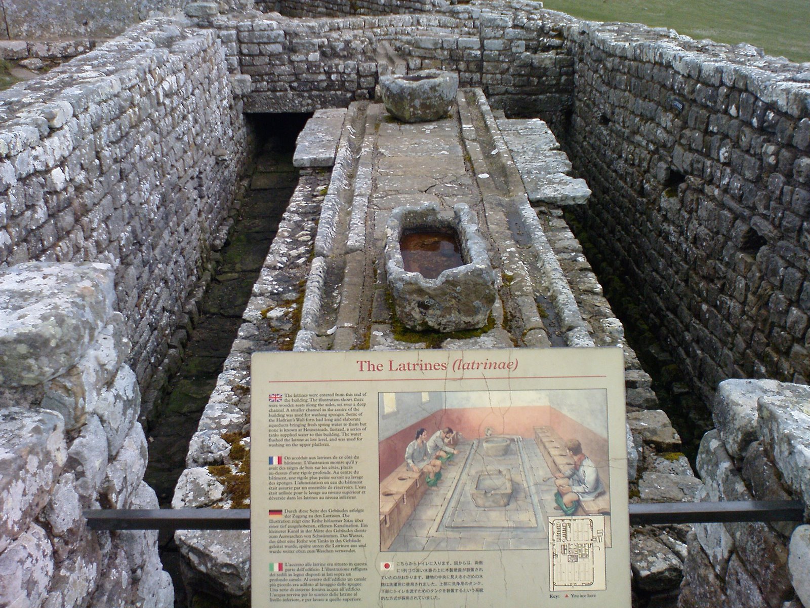 [DSC00537.JPG]