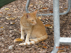 Vizcaya's Watchdog