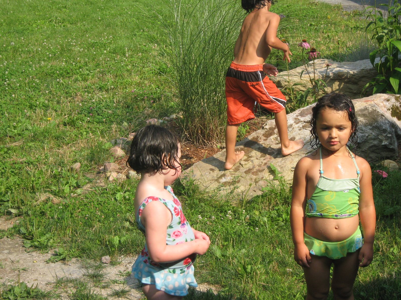 [IMG_1741.JPG]