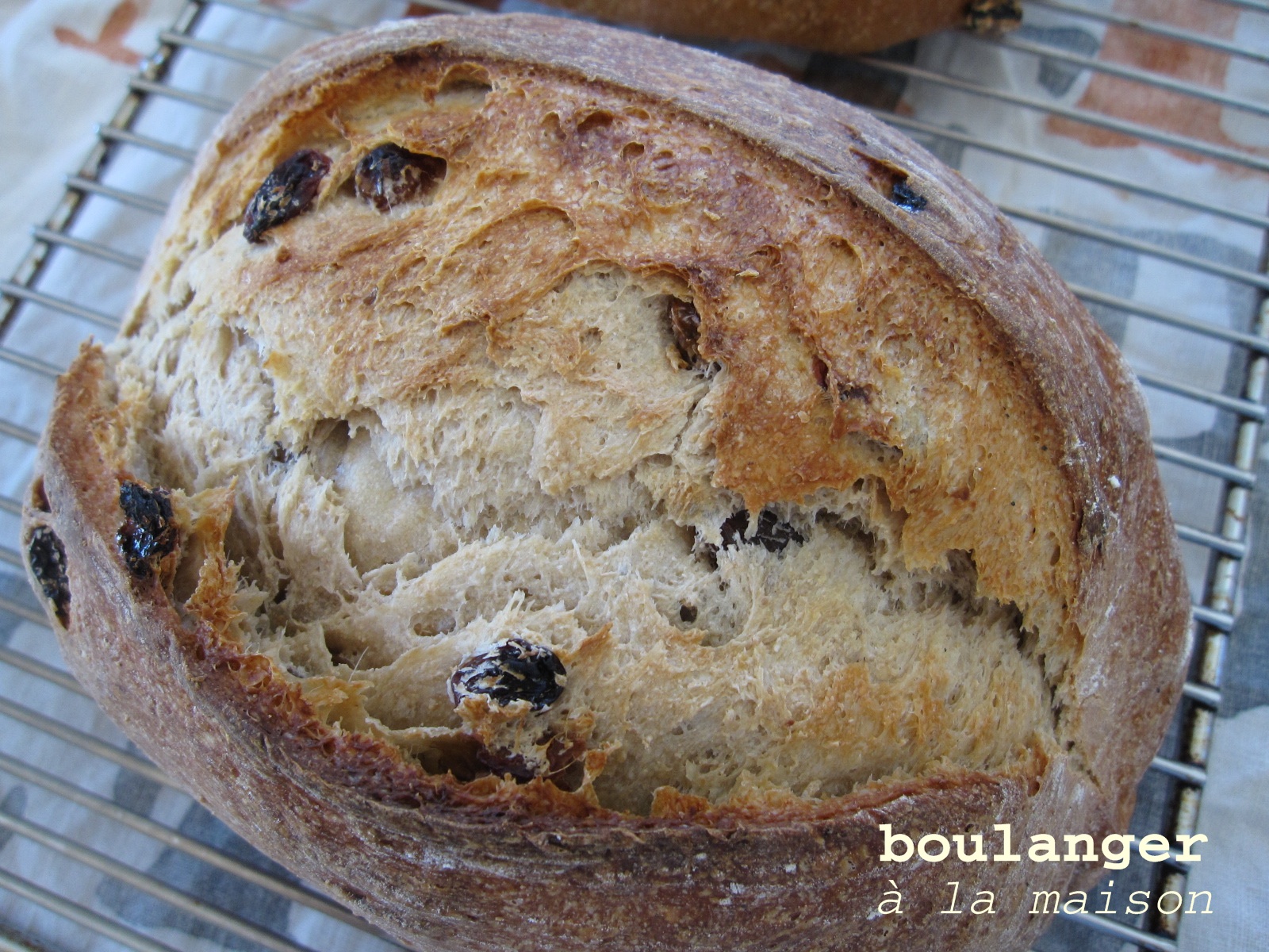 You can do it... at home! Golden Raisin Sourdough bread