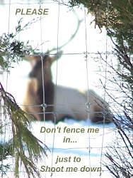 "Don't Fence Me In"
