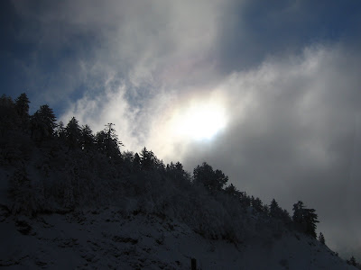 eery snowcovered landscape