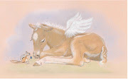 Our Artist Interview with Equinest