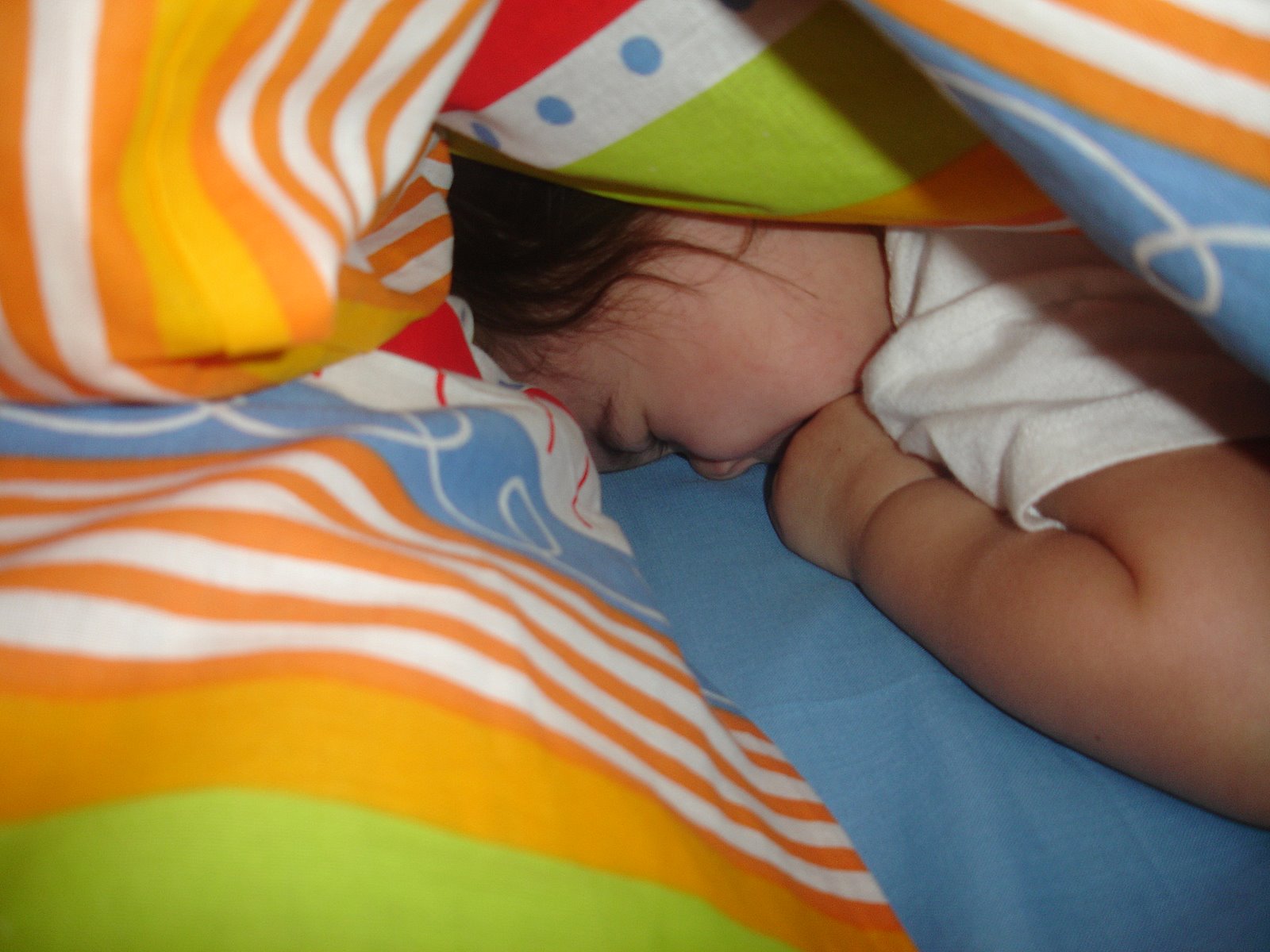 [DSC05653.JPG]