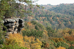 Autumn At Conkles Hollow