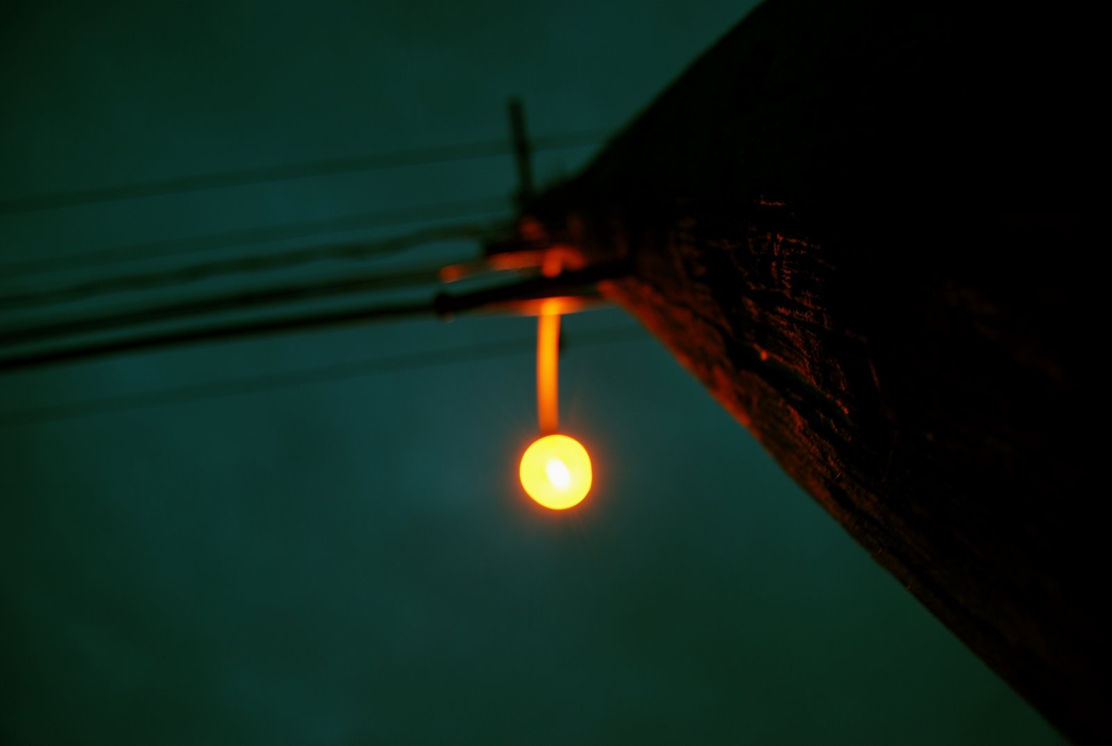 [DSC_0133.JPG]