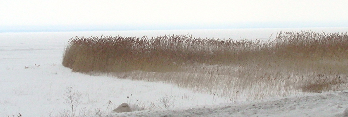 [DSCN5414.JPG]