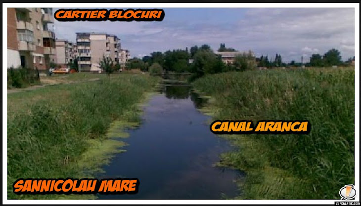Sannicolau Mare