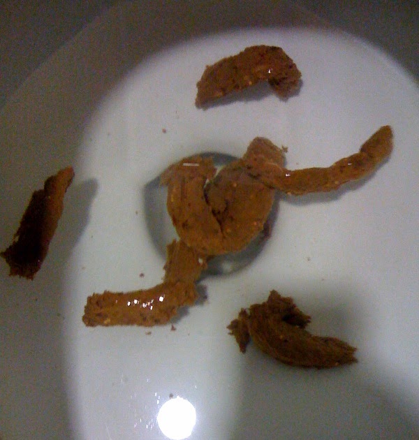 Year of Poop Poop explosion