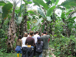 Sean´s first trip to the rainforest