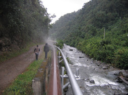 Oil pipe through the forest