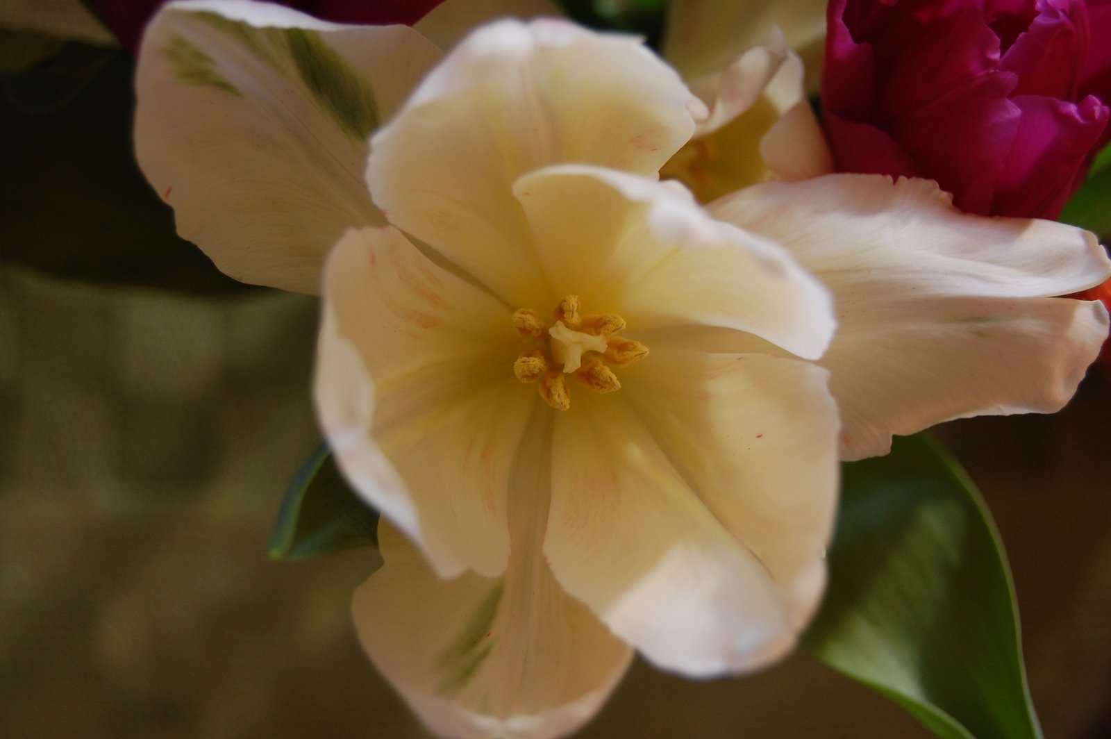 [DSC_0022.JPG]
