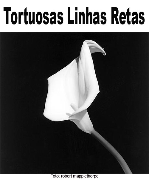 TORTUOSAS LINHAS RETAS