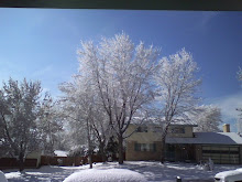 Now THIS is Snow