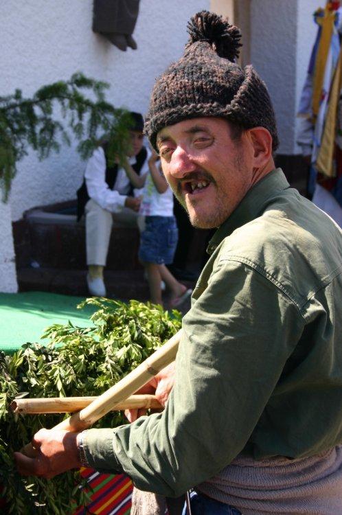 [barrete+de+orelhas+madeira.JPG]