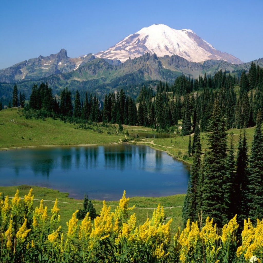Beautiful Images Of Love And Nature Beautiful Images Of Love And Nature