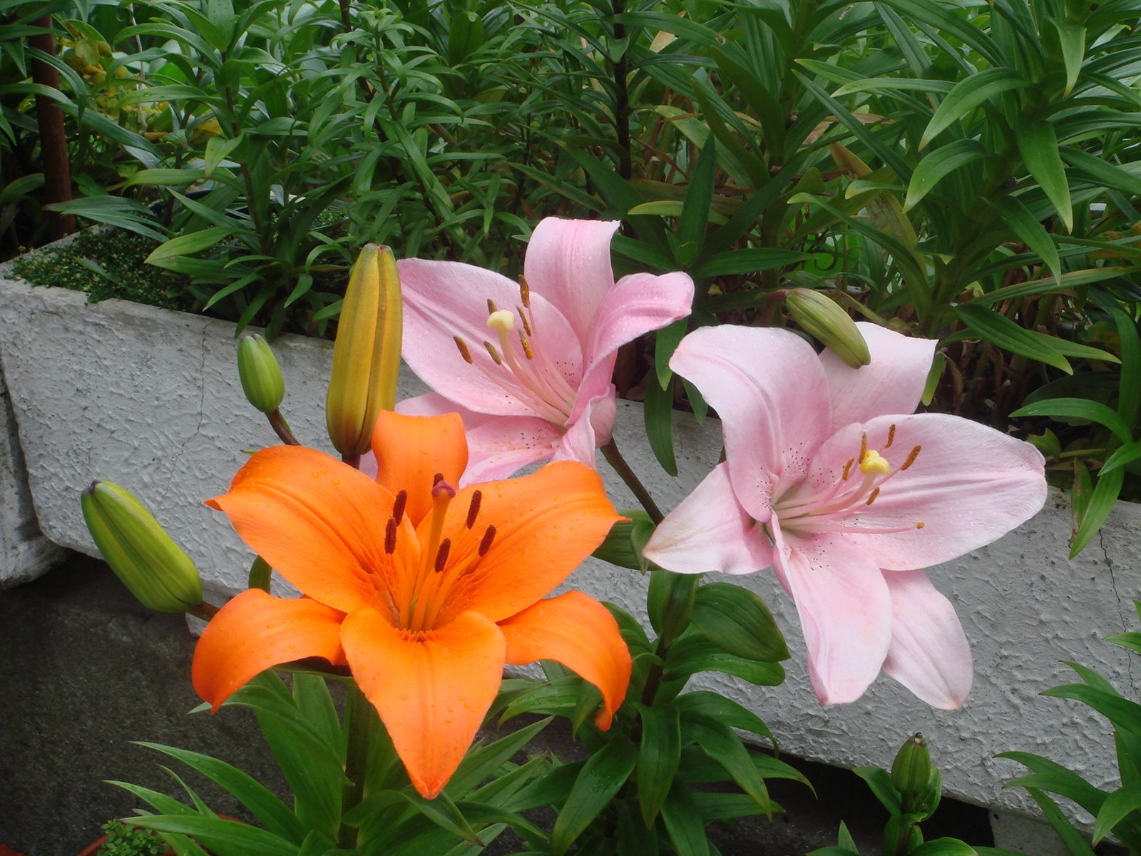 [DSC00120.JPG]