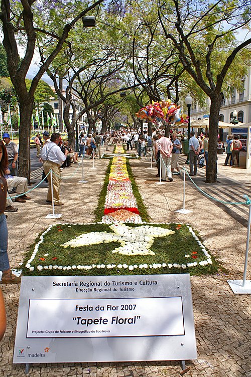 [Festa+da+flor+2007+www.madeira-web.com]