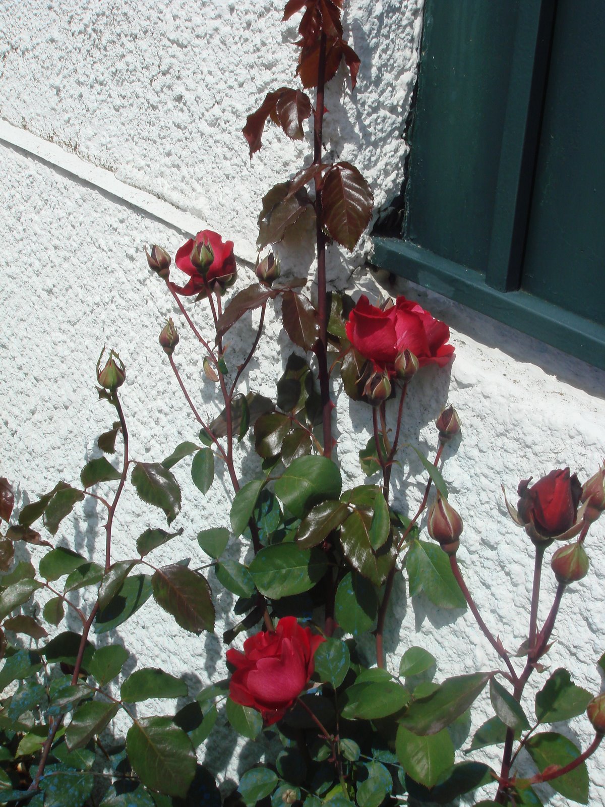 [DSC02850.JPG]